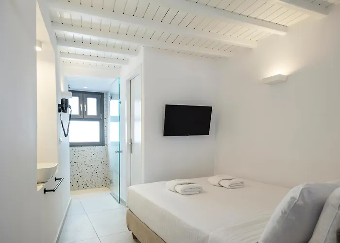 宾馆 Alana Mykonos Mykonos Town